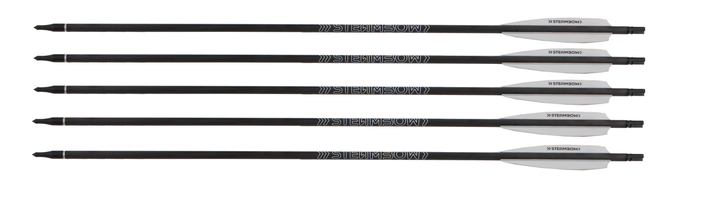 FENRIS Carbon arrows – Set of 5
