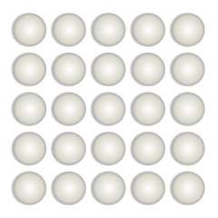 AR-Series – B08 cal .68 Nylon-Balls - Set of 25