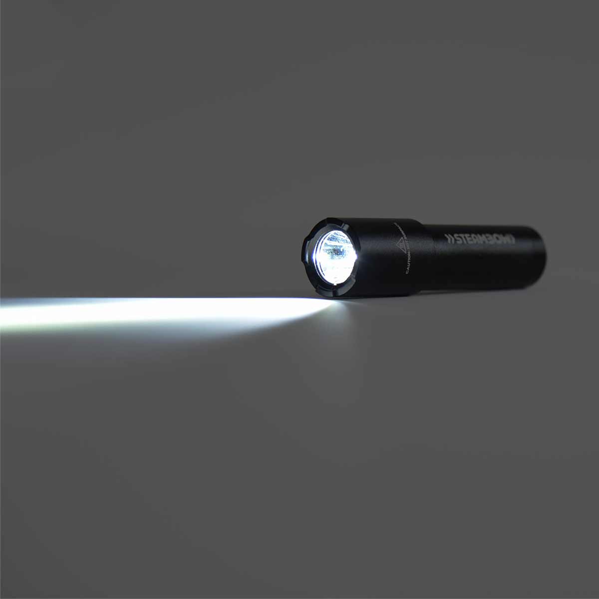 Flashlight incl. tactical Clip